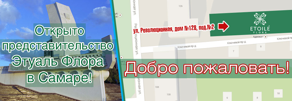 Открыто представительство Этуаль Флора в Самаре